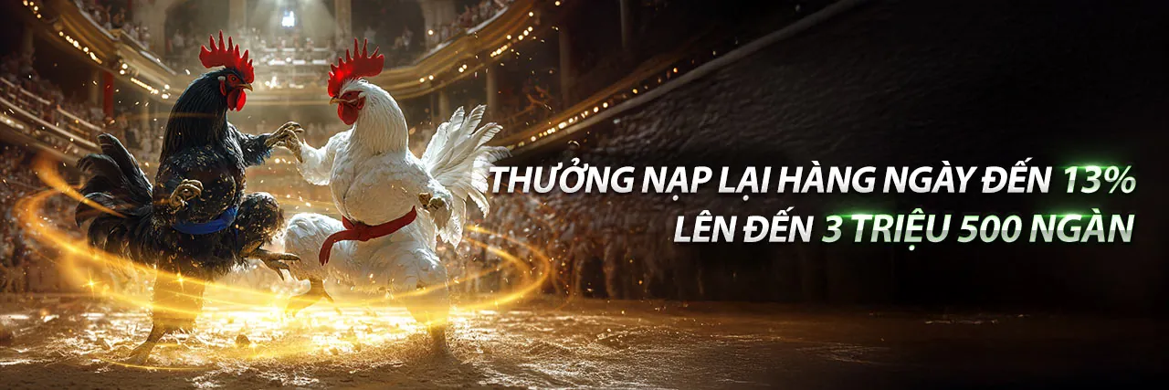 Đá Gà Trực Tuyến S666 Plus
